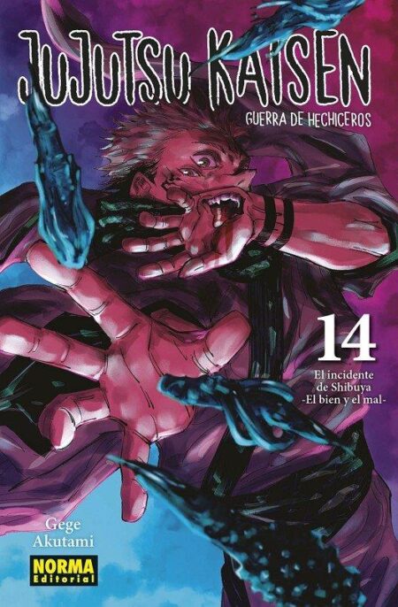 Jujutsu Kaisen 14 – Editorial Norma