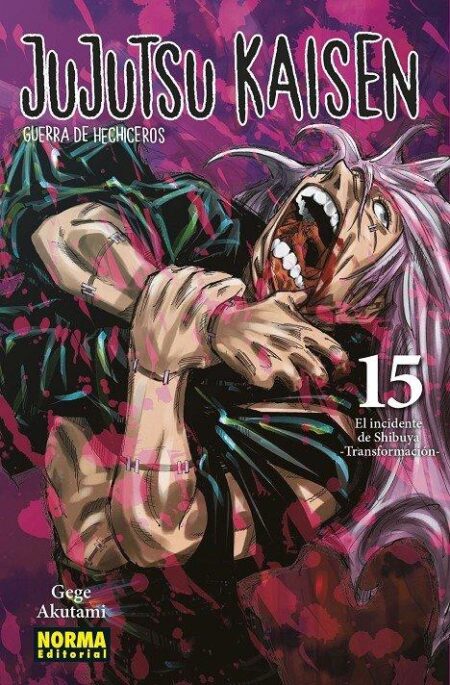 Jujutsu Kaisen 15 – Editorial Norma