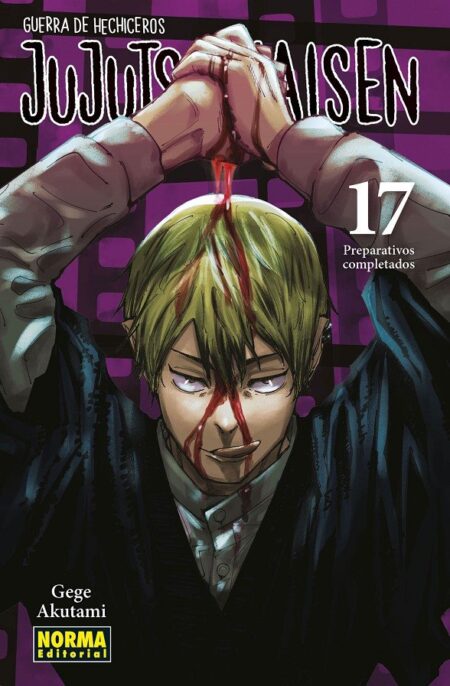 Jujutsu Kaisen 17 – Editorial Norma