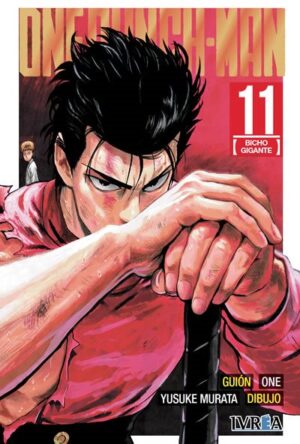 One Punch Man 11 - Ivrea España