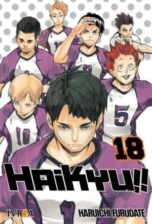 Haikyuu 18 - Ivrea Argentina