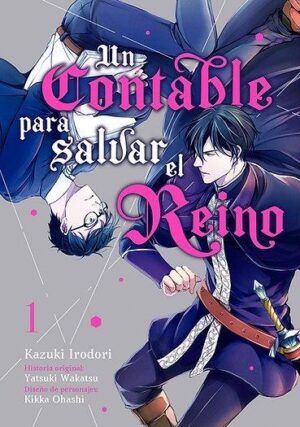 Un Contable Para Salvar El Reino 01