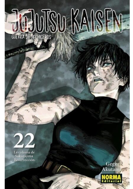 Jujutsu Kaisen 22 - Editorial Norma