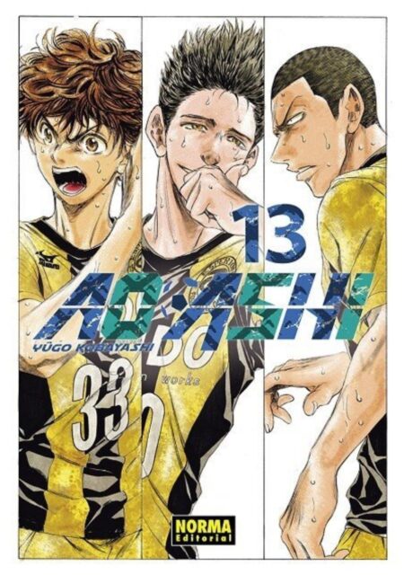 Ao Ashi 13