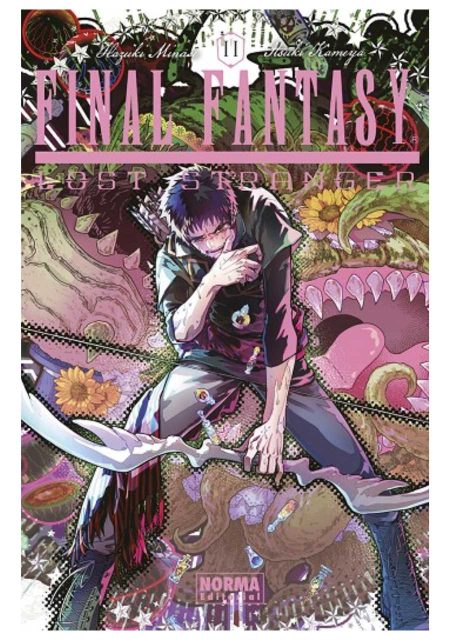 Final Fantasy Lost Stranger 11 - Editorial Norma